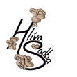 Hlíva sadba