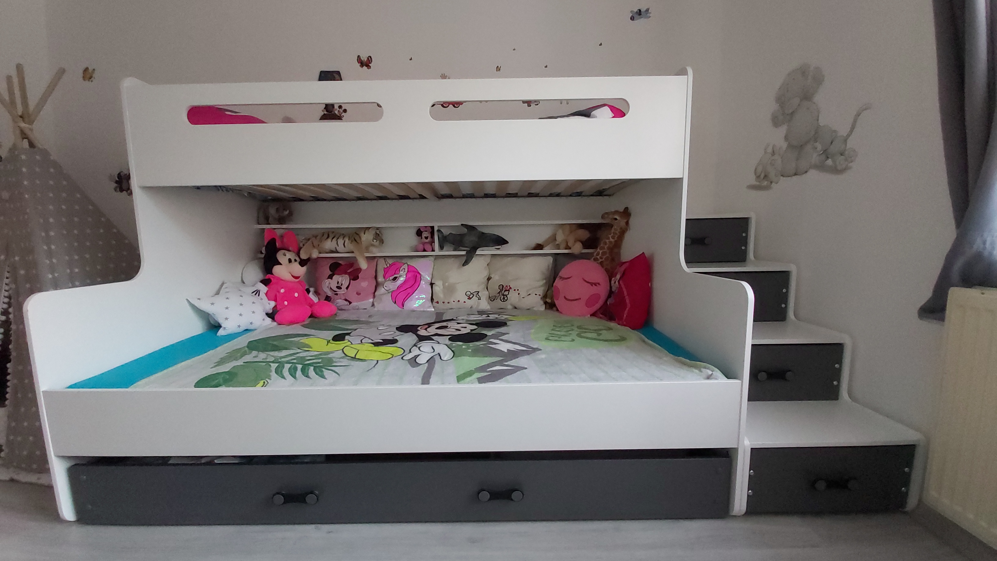 Paní Petra z Oselce