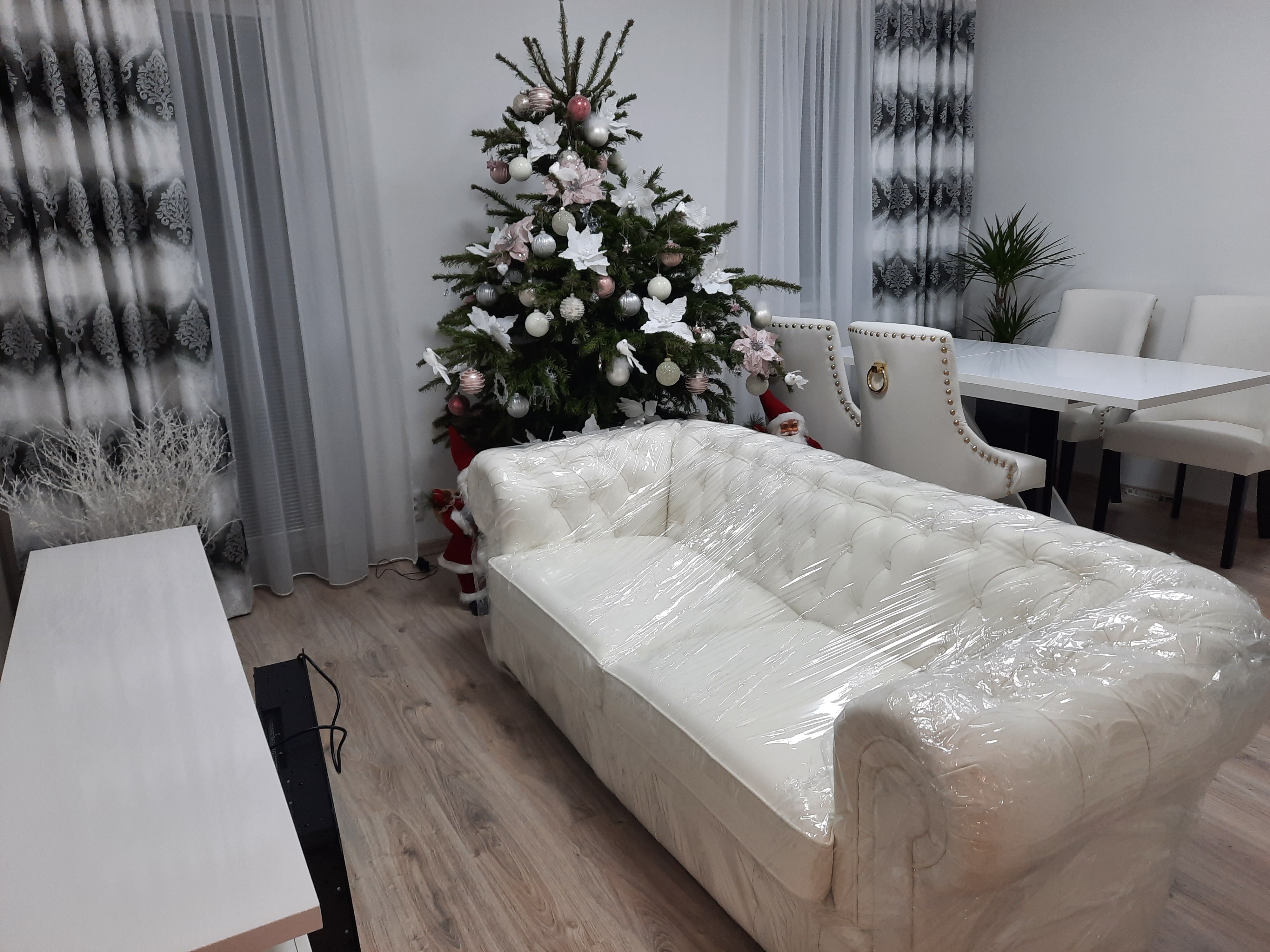 Paní Mariana z Milovic