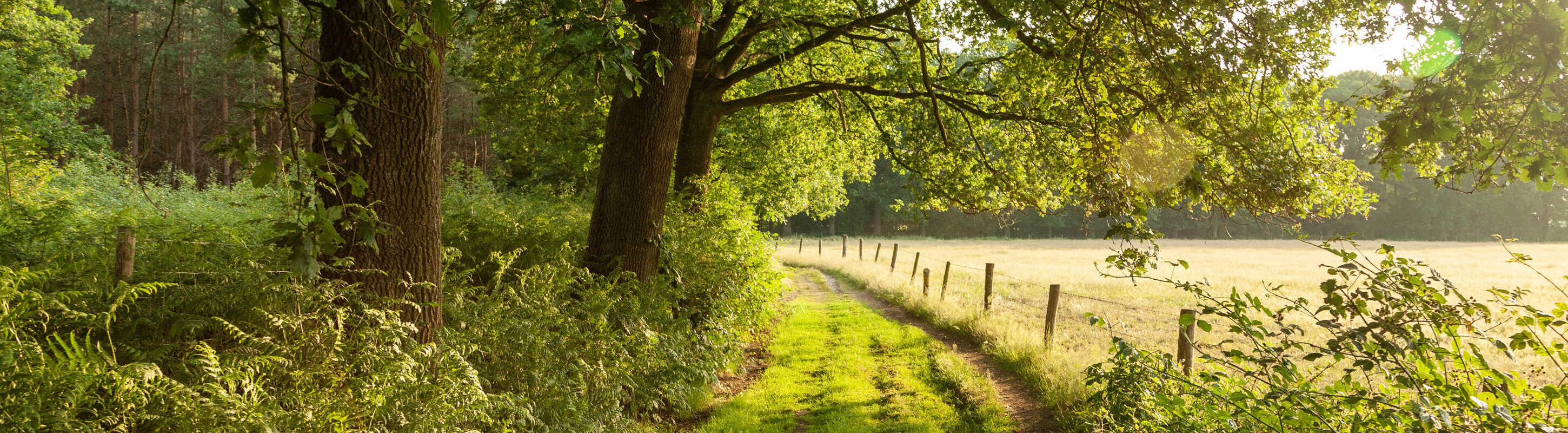 Vydejte se novou cestou! Objevte hmyz jako potravinu budoucnosti!