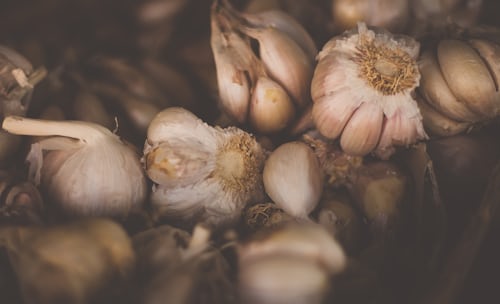 Jesenná výsadba cesnaku a cibule: kompletný návod