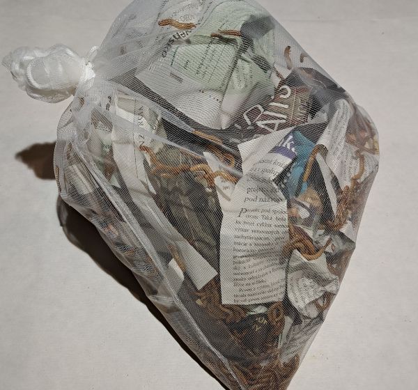 Ako správne skladovať živé múčne červy hneď po doručení?