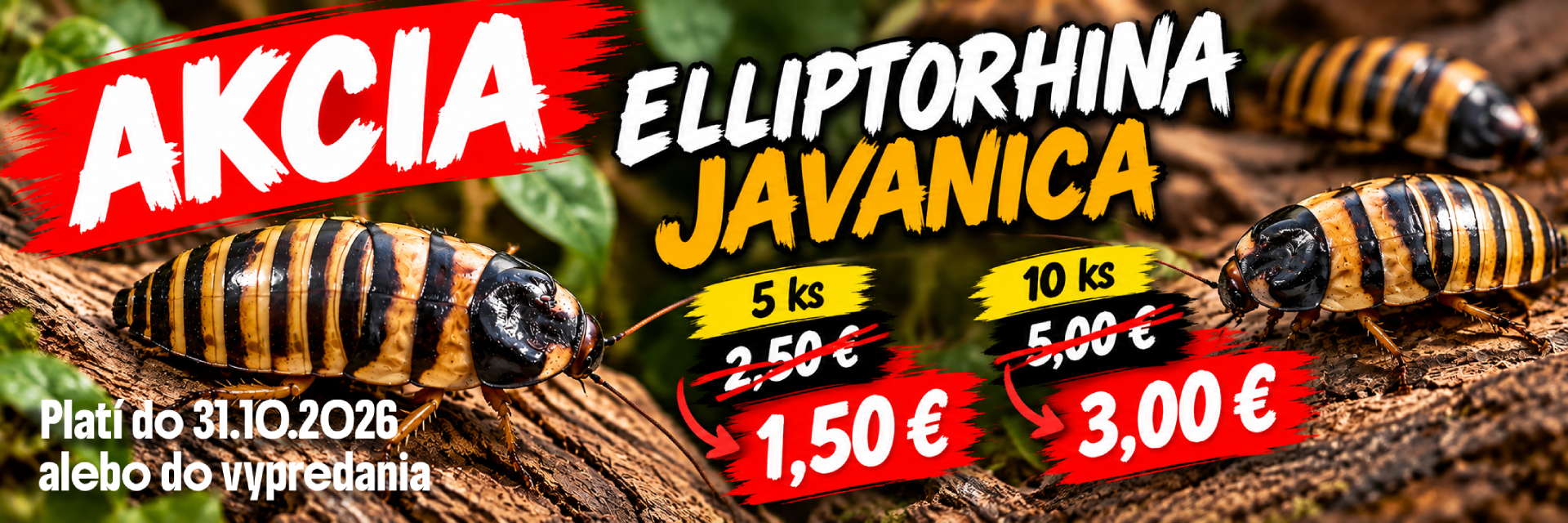 Javanica