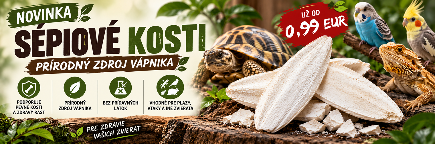 Sépiové kosti