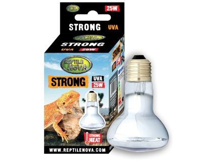 STRONG25W BULB