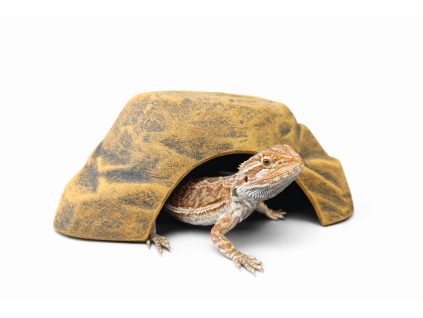 úkryt do terária