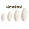 sépiová kosť (1)