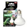 reptile nova daylight terrarium izzo 75w