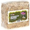 Sušený rašeliník Sphagnum moss