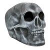 skull gray