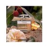 Chloé EDP 75 ml + BLO 100 ml + EDP 5 ml