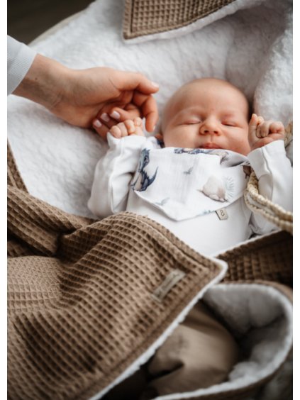 berankova deka hneda (3)