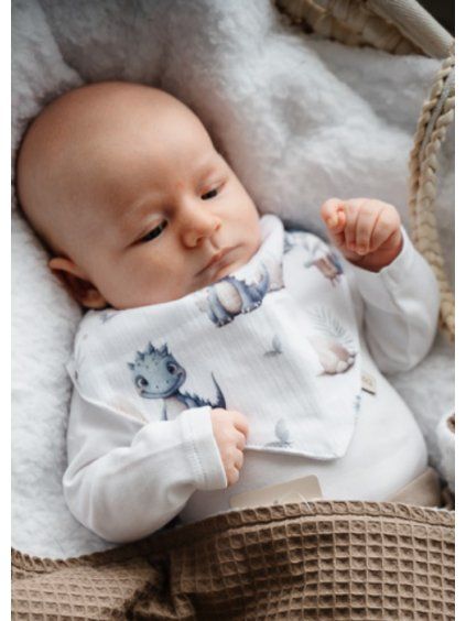 slintacek baby dino (1)