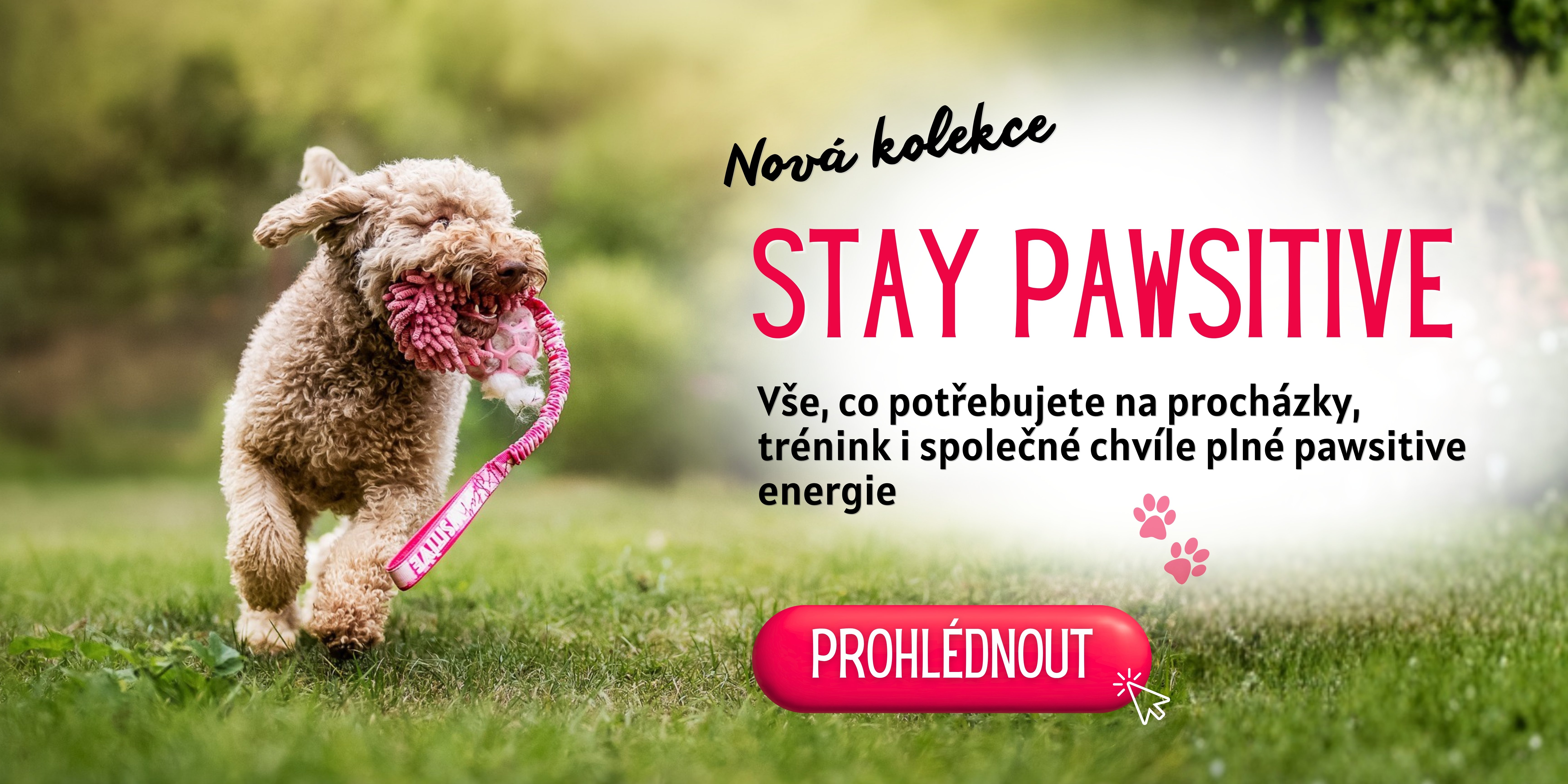 Stay pawsitive