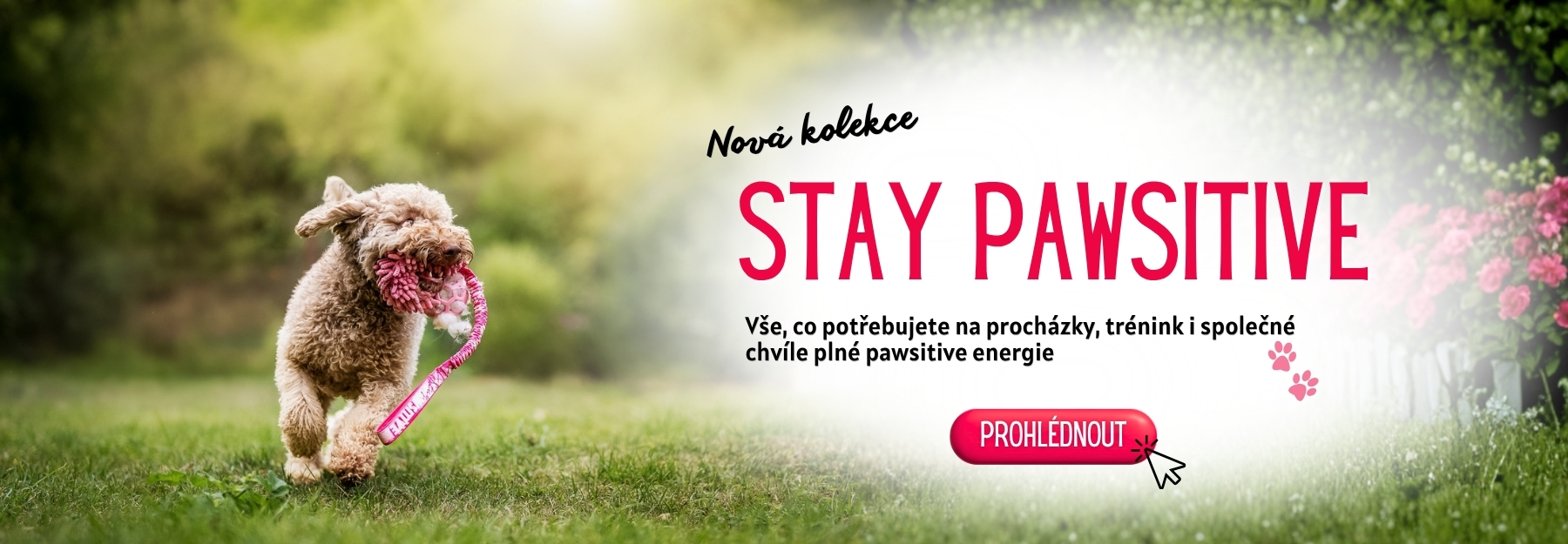 Stay pawsitive