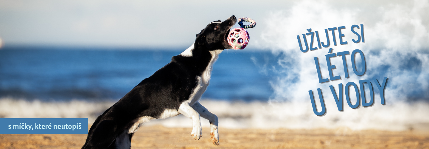 geoball