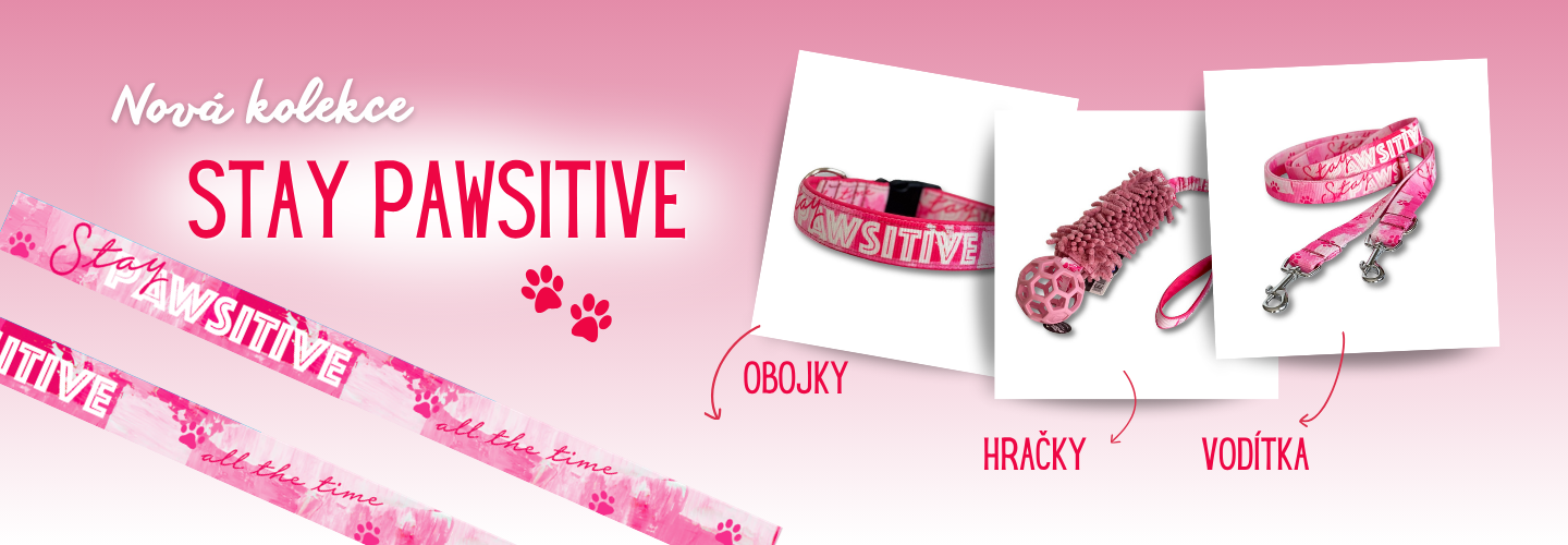 Stay pawsitive