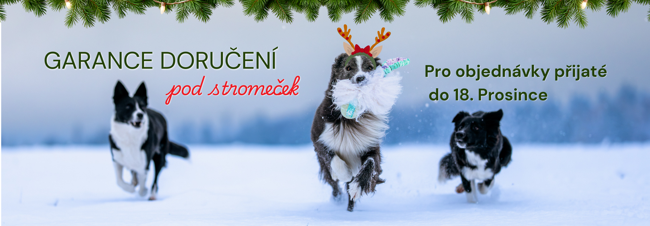 Garance doručení pod stromeček