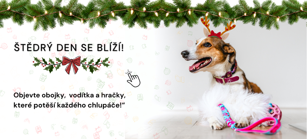 Štědrý den se blíží