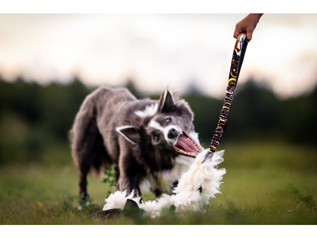 2b602cae 2045 4f62 8609 66c94ac70aa1