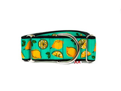 Obojek šířka 5cm - Citróny Hoaxx