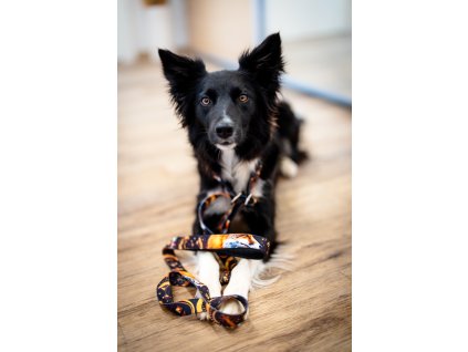 Agility vodítko Lišky