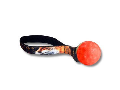 geoball (3)