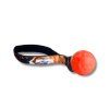 geoball (3)