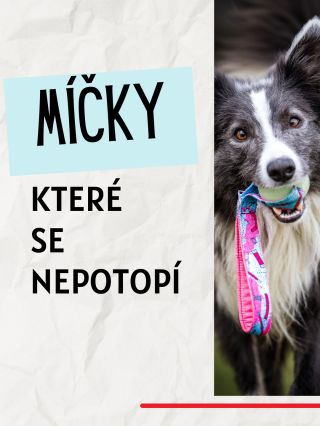 Pojďme společně zachránit co nejvíc míčků před životem na dně rybníka!😱🐶