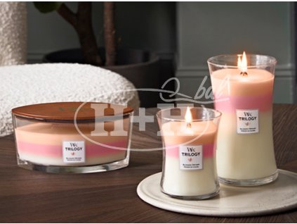 Woodwick Trilogy Blooming Orchard