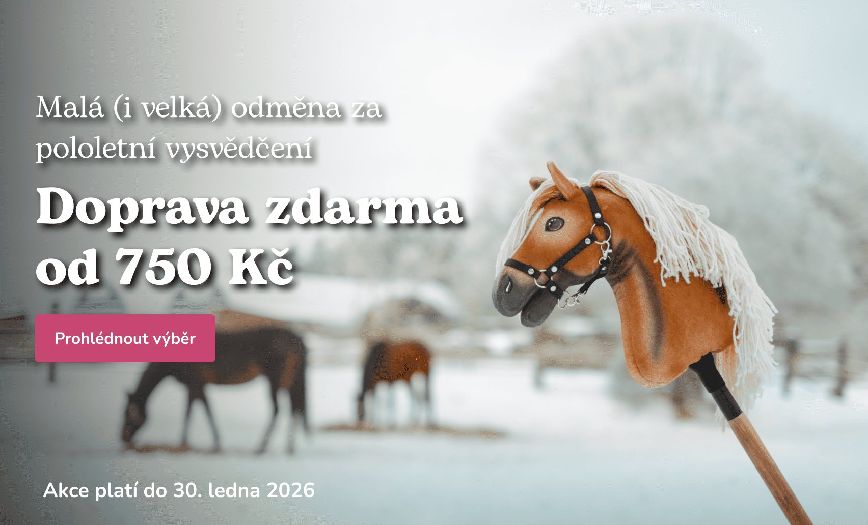 Pololetní vysvědčení - hobby horse, koník na tyči, kůň na tyči