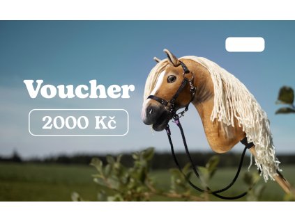 Voucher 2000 Kc LarDen days CZ 650x400pix Predni strana