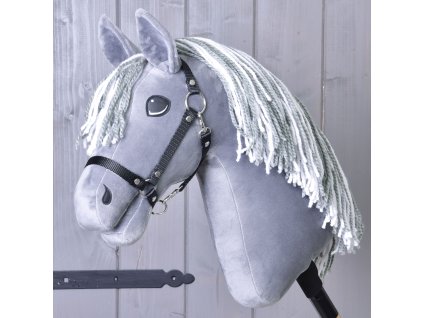 calypso (1)