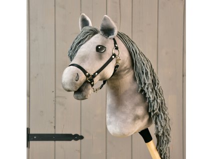 Magnus (3)