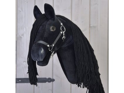 Maximus (10)