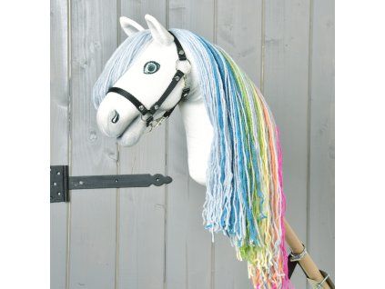 New Ranbow (3)