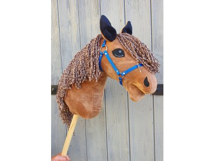 hobby horse 3