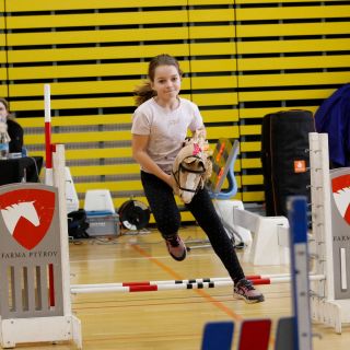 ❤️na víkendových závodech od @ceska_hobby_horsing_asociace zachytil pan fotograf pár LarDen koní a jejich majitelů. Máme...