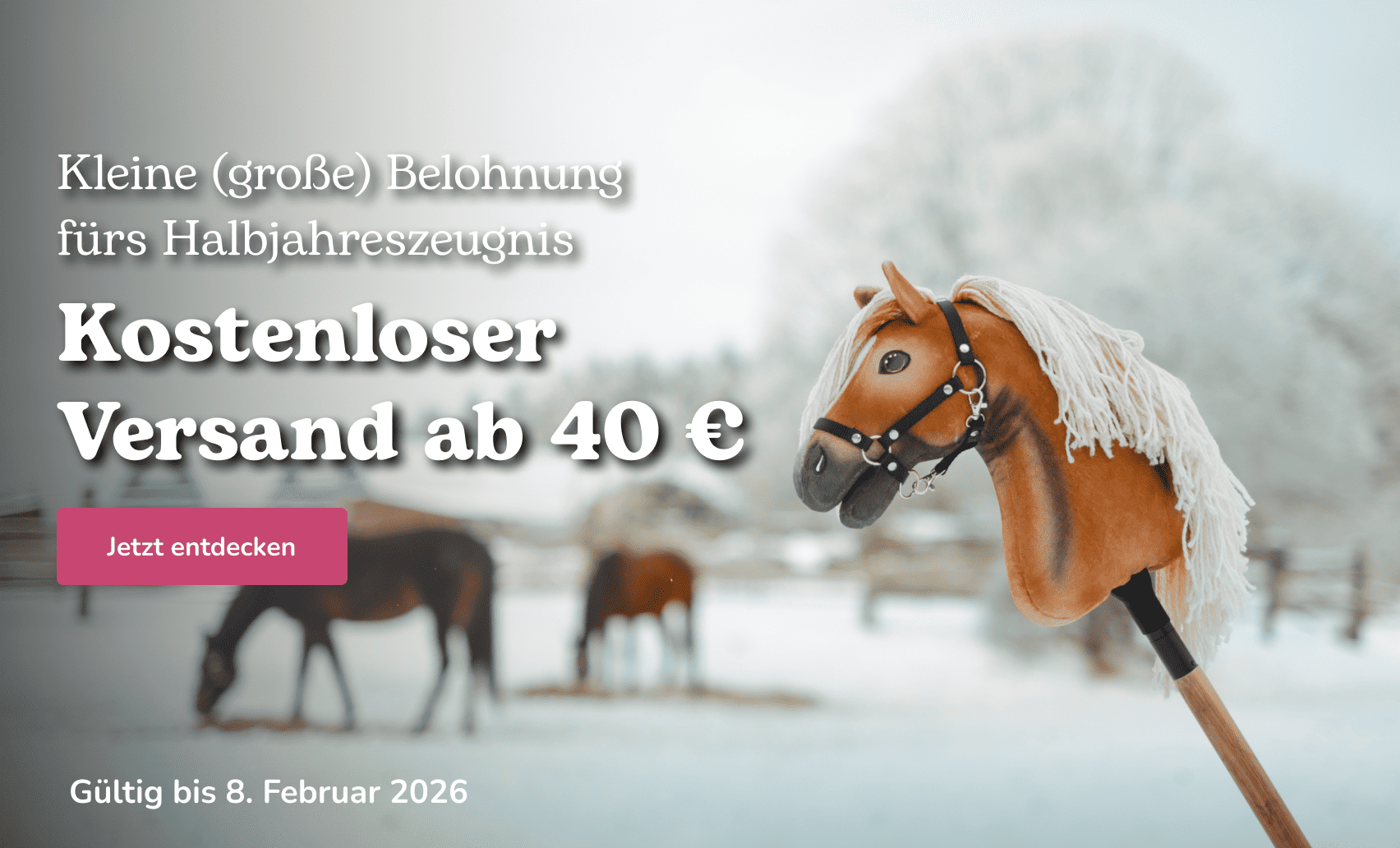 Halbjahreszeugnis - Hobby Horse, Steckenpferd, Pferd am Stock