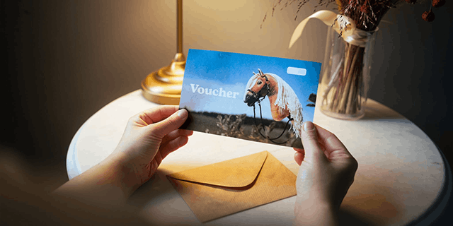 Geschenkgutscheine - Hobby Horse, Steckenpferd und Pferd am Stock