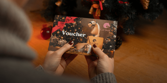 Geschenkgutscheine - Hobby Horse, Steckenpferd und Pferd am Stock