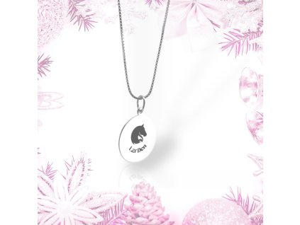 Silberne Halskette mit LarDen-Medaillon