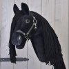 Maximus (10)