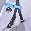 Horse on a Stick bridle with 2 headbands turquoise ( Size M )