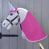 Horse on a Stick Set Hot Pink Silver