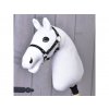 Pferd – Farbe Weiß