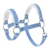 Pastell Blue (1)