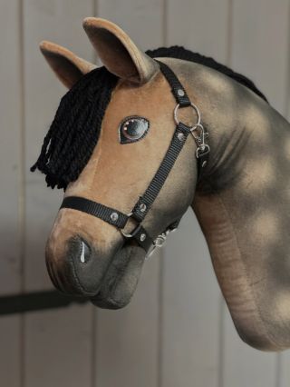 ❤️Unsere neue Hannoveraner Stute Stormy wird bald in der neuen Art-Kollektion vorgestellt.❤️