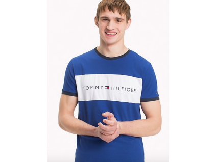 Tommy Hilfiger Pánské Tričko S Krátkým Rukávem + textilní rouška ke každé objednávce zdarma