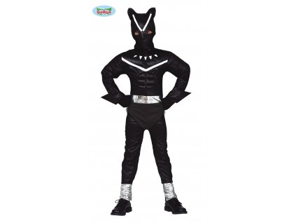 Černá kočkovitá šelma dětský kostým  Black feline child costume